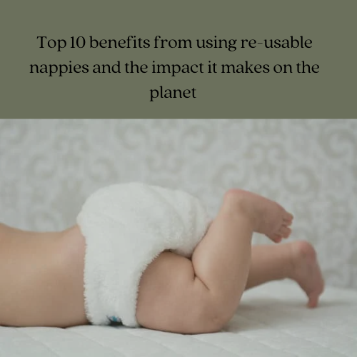 Re-usable nappy blog